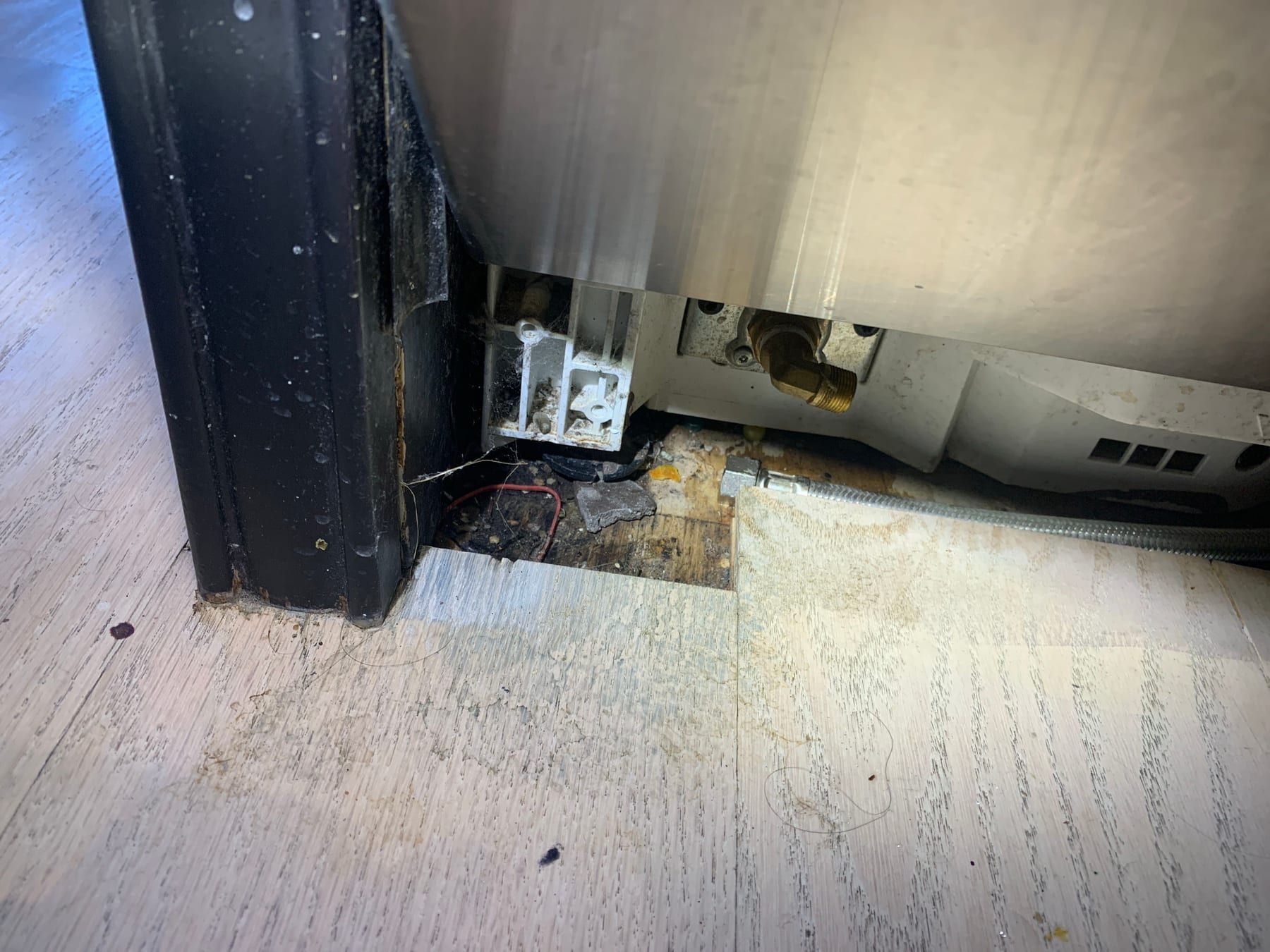 Appliance repair in Toronto — brass angle fitting and braided supply line at an inlet valve under a kitchen cabinet
